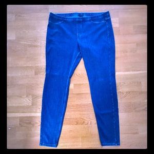 Hue XL Jeggings